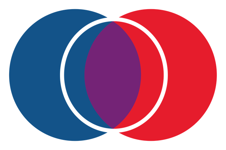 New Statecraft Institute